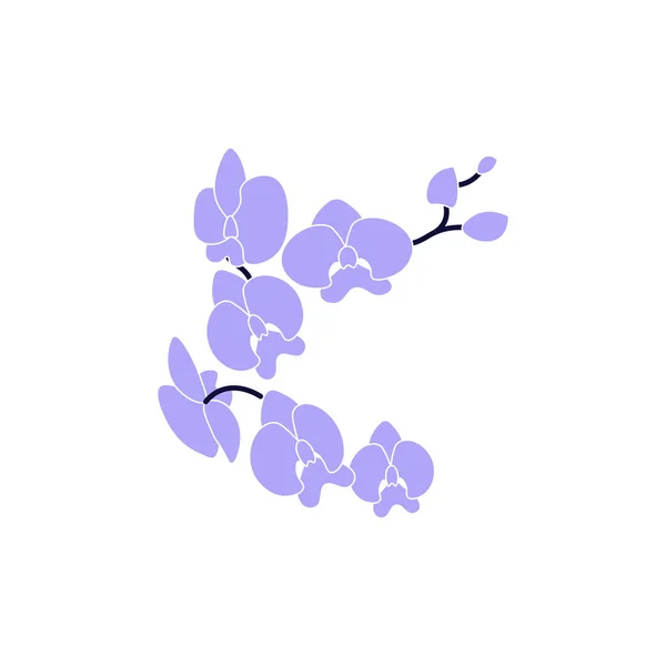 Lila orkidé, bukett av blommande blommor isolerad pÃ ¥vit — Stock vektor
