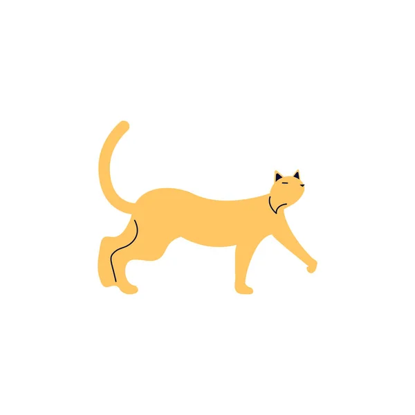Рыжий кот силуэт гордые прогулки изолированы на белом фоне. — стоковый вектор