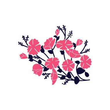 Kırmızı kasımpatılar, beyaz arka planda izole edilmiş çiçek buketleri.