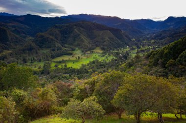 Kolombiya 'nın Quindio bölgesindeki El Mirador' dan Salento 'daki Cocora Vadisi' nin güzel manzarası.