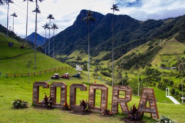 SALENTO, COLOMBIA - Temmuz 2021. Arka planında ünlü Morrogacho Tepesi olan güzel Cocora Vadisi ve Balmumu Palmiyeleri, Kolombiya Ulusal Ağacı