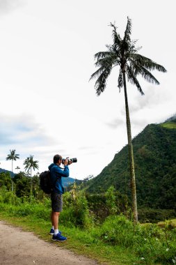 Kolombiya 'nın Quindio bölgesindeki Salento' daki güzel Valle de Cocora 'da fotoğraf çeken bir turist.