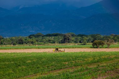 Kolombiya 'nın Valle del Cauca bölgesinde tarım alanları ve görkemli dağlar.