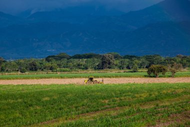 Cultivation fields and the majestic mountains at the Valle del Cauca region in Colombia clipart