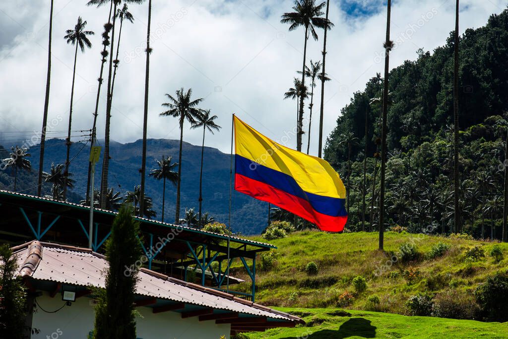 Colombian flag at the beautiful cloud forest and the Quindio Wax Palms at the Cocora Valley located in Salento in the Quindio region in Colombia.