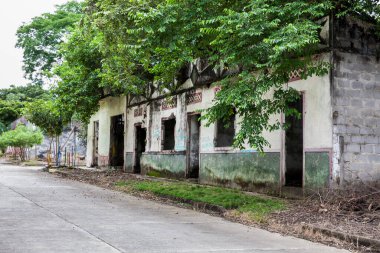 ARMERO, COLOMBIA - Mayıs 2022: 1985 'te Nevado del Ruiz Volkanı' nın yol açtığı trajedinin ardından Armero Kasabası 'nın ağaçlar ve doğa ile kaplı yıkılmış evlerinin kalıntıları