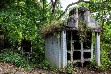 1985 'te Kolombiya' da Nevado del Ruiz Volkanı 'nın yol açtığı çığın tahrip ettiği eski Armero kasabasının mezarlığında terk edilmiş mezarlar.