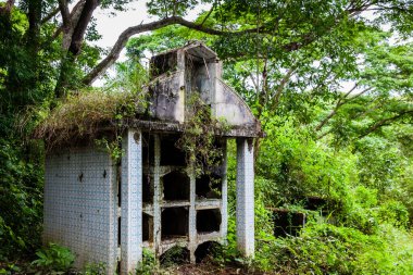1985 'te Kolombiya' da Nevado del Ruiz Volkanı 'nın yol açtığı çığın tahrip ettiği eski Armero kasabasının mezarlığında terk edilmiş mezarlar.