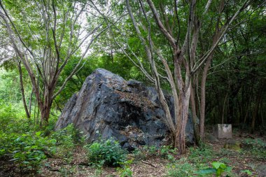 1985 'te Armero şehrini yok eden Nevado del Ruiz' in yol açtığı çığın sürüklediği devasa kayalardan biri.