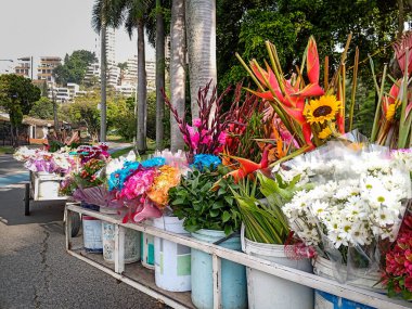 Sokakta güzel tropik çiçekler satılıyor.
