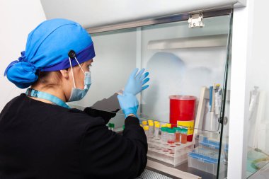 Laboratuvarda güvenli laminar hava akışı dolabında çalışan genç bir kadın bilim adamı.