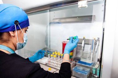 Laboratuvarda güvenli laminar hava akışı dolabında çalışan genç bir kadın bilim adamı. Kan örnekleri. Kan testi