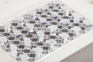 Moleküler biyoloji laboratuvarındaki termal döngü bloğundaki test tüplerinin yakınlaştırılması. Polimeraz zincir reaksiyon tekniği. PCR tekniği