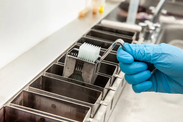 Scientist Dewaxing Paraffin Embedded Tissue Samples Laboratory Xylene Based Removal — Stock Photo, Image