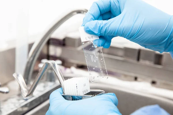 Scientist Showing Dewaxed Tissue Samples Laboratory Xylene Based Removal Paraffin — Stock Photo, Image