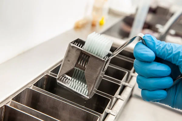 Scientist Dewaxing Paraffin Embedded Tissue Samples Laboratory Xylene Based Removal — Stock Photo, Image