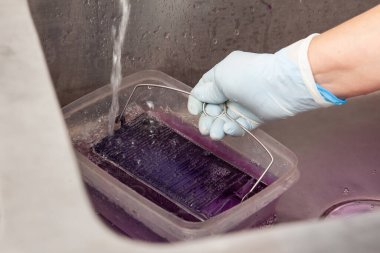 Laboratuvarda sitoloji çalışmaları için mikroskop boyayan bilim adamları.