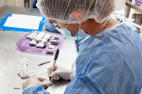 Wissenschaftler Bereiten Paraffinblöcke Mit Biopsiegewebe Für Die Durchtrennung Vor Pathologisches — Stockfoto