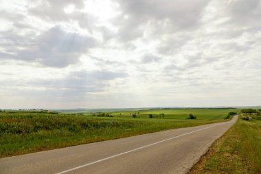 Yazın yeşil çimenli terk edilmiş kırsal arazi. Eski yıkılan çitler inekler ve atlar için bir ağıldır..