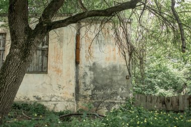 Terk edilmiş bir parkta eski bir taş merdiven. Düşen yapraklar eski basamaklarda ve merdivenlerin korkuluklarında yatıyor. konsept terk edilmiş mimari