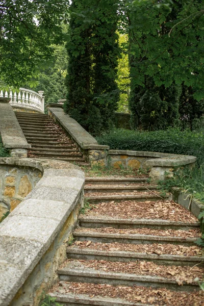 Vieil Escalier Pierre Dans Parc Abandonné Les Feuilles Tombées Reposent Images De Stock Libres De Droits