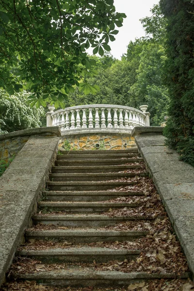 Vieil Escalier Pierre Dans Parc Abandonné Les Feuilles Tombées Reposent Images De Stock Libres De Droits