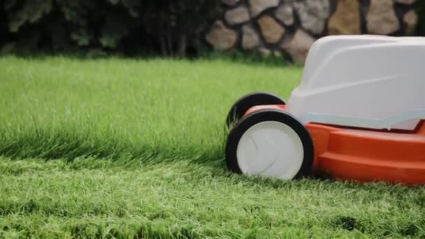 Small grass cuttings fly out of the rumbling lawnmower and toward to the plastic basket. Cutting of the grass in slow motion, close up — Stock Video
