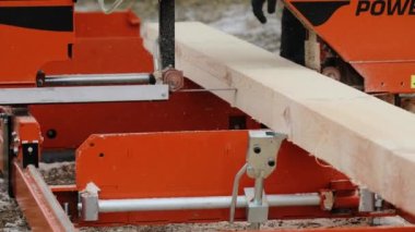 Endüstriyel Ahşap Fabrikası 'nda çam ağacı işleme. Çam Tahtaları modern kesim makinesi tarafından işleniyor. Ahşap ürünlerin üretimi için Pine Board işlem yapıyor. Kereste Endüstrisi