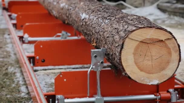 Το κομμένο και πριονισμένο κορμό δέντρου στο μηχάνημα πριονίσματος είναι έτοιμο για κοπή στις σανίδες. Βιομηχανία ξυλείας — Αρχείο Βίντεο