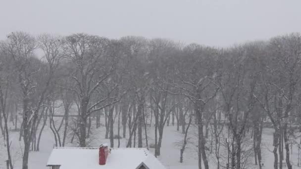 Tetto di casa vicino al parco coperto di neve durante una nevicata in inverno — Video Stock