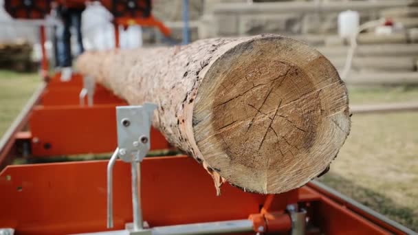 Sawing boards from logs with modern sawmill. The chopped and sawn trunk tree on sawmill machine is ready for cutting to the boards. Lumber Industry. Steadicam shot – stockvideo