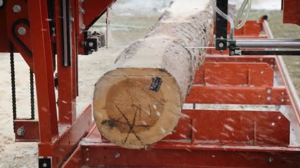 Process of machining logs in equipment sawmill machine saw saws the tree trunk on the plank boards. Sawing boards from logs with modern sawmill. — Stockvideo
