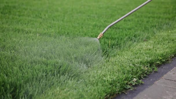 Man fertilizing residential backyard lawn with liquid chemical spreader. Landscaper spraying grass lawn with fertilizer, weed killer, and insecticide. — 图库视频影像