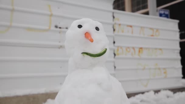Funny Snowman Carrot Nose Buttons Instead Eyes Cucumber Instead Mouth — Stock video