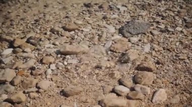 Su altı kabarcıkları, kumlu zeminden gelen volkanik gazlar. Ölü Deniz dibinden gelen oksijen kabarcıkları. Kıyıya yakın bir manzarası var. Temiz su