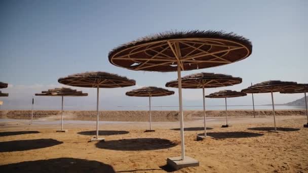 Lots of straw umbrellas on a sandy beach near Dead Sea, beach holidays in Israel — Vídeo de stock