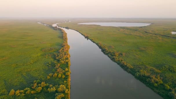 Lot nad rezerwatem nietkniętej przyrody przez ludzi. Szeroka rzeka i niekończące się zielone zarośla krzewów. Tereny podmokłe źródła rzeki — Wideo stockowe