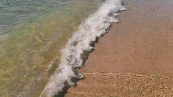 Vista desde arriba en una pequeña ola de mar que llega a la orilla arenosa de la orilla — Vídeos de Stock