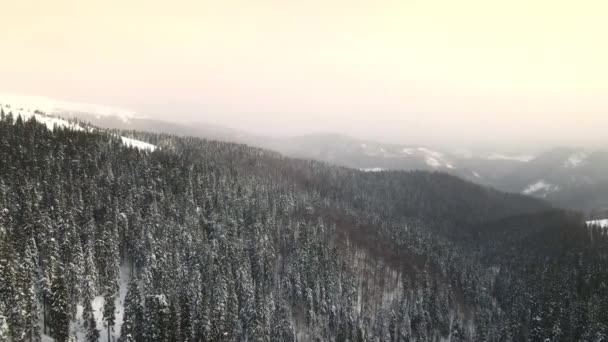 空中冬季森林自然白雪覆盖冬季树木。美丽的冬山冬季风景. — 图库视频影像