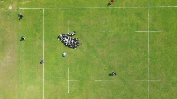 Αεροφωτογραφία Παίκτες του ράγκμπι αγωνίζονται για την μπάλα. Παίζοντας ράγκμπι σε ένα μεγάλο πράσινο πεδίο. — Αρχείο Βίντεο