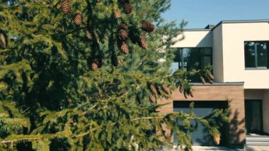 Evin modern dış cephesi. Parkta çam ağaçları ve külahlarla dolu bir ev. Kendi bölgesi ve geniş panoramik pencereleri olan bir ev. Modern tarzda küçük bir banliyö evi..