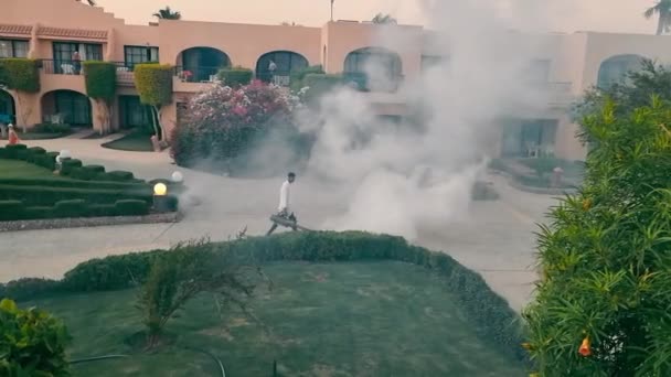 Hurgara, Egypten, Octobr, 2021: Utplåning av myggor genom rök. En anställd på ett hotell i Hurghada använder en rökmaskin för att behandla insektsbuskar med en kemisk lösning — Stockvideo