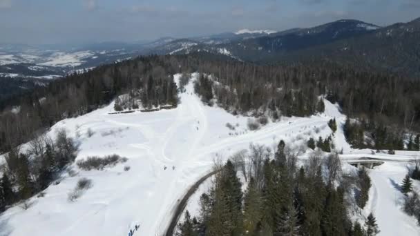 バイアスロンレースの参加者の空中ビュー。選手はスキーの距離を克服します。. — ストック動画