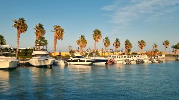 Mısır 'ın Hurghada liman kenti. Küçük tekneler ve gemiler demirli. Gemiler için körfez. Küçük bir kasabanın limanında güzel palmiye ağaçları ve gün batımı. — Stok video