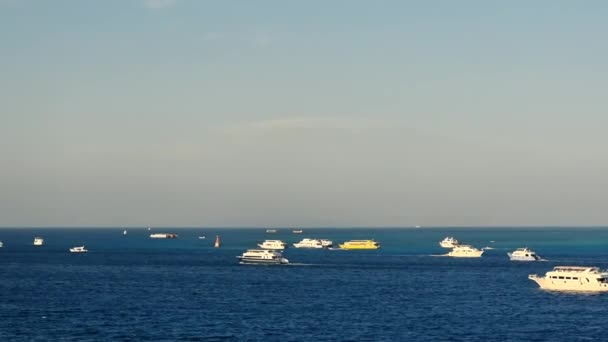 Pequenos iates turísticos navegando no Mar Vermelho, perto da cidade de Hurghada. Parte superior do quadro para texto de espaço de cópia — Vídeo de Stock