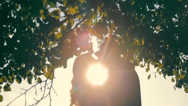 Silueta de una pareja de boda al atardecer de pie uno frente al otro y haciendo el amor. Recién casados el día de su boda juntos en una cálida tarde soleada. — Vídeo de stock