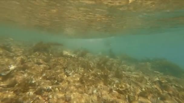 Achtergrond van zeegolf onder water. Wave komt in slow motion naar de kust. De kracht van het water stroomt naar de kust tilt de stenen op de bodem en vormt bellen in het water. — Stockvideo