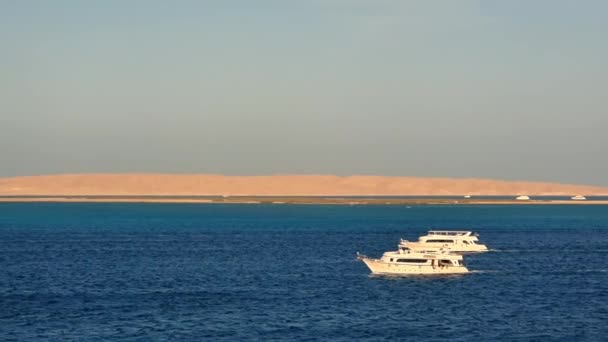 フルガダの街の近くの紅海を航海する小さな観光ヨット。コピースペーステキストのフレームの上 — ストック動画