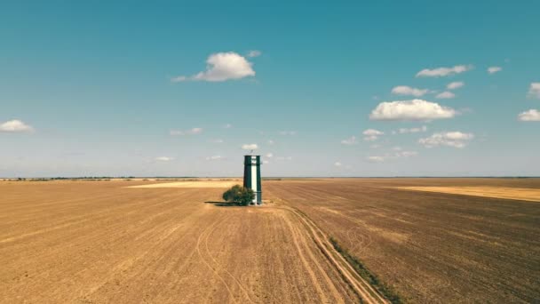 哈勃后灯塔矗立在田野里.无边无际的草原中的一座孤零零的了望塔 — 图库视频影像