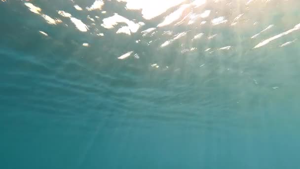 Zonlicht dat onder water valt. landschappen onder water golven op het wateroppervlak. Onderwater scenario van het wateroppervlak, en een uitzicht op de top van de bodem van de zee. — Stockvideo